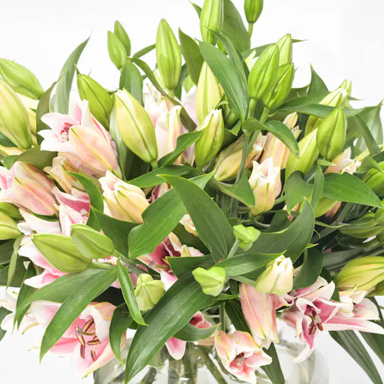 Pink Beauty | Glass Vase