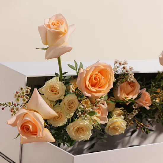 Mubkhar 6-Piece Gift Set | Peach Roses