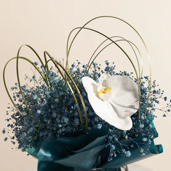 Floward Father's Day Cupcakes | Sky Serenity Flowers