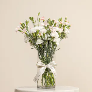 Gentle Whisper Carnation Vase Gentle Whisper Carnation Vase