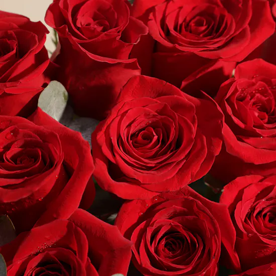 Almosafer 1000 Almosafer Points Gift Card | Whispers of Love Red Roses Box