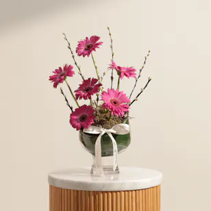 Fuchsia Gerbera Garden Flower Vase