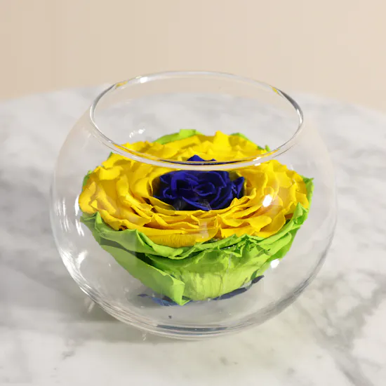 Deep Colors Preserved Rose Vase