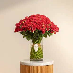 100 Red Baby Roses Vase