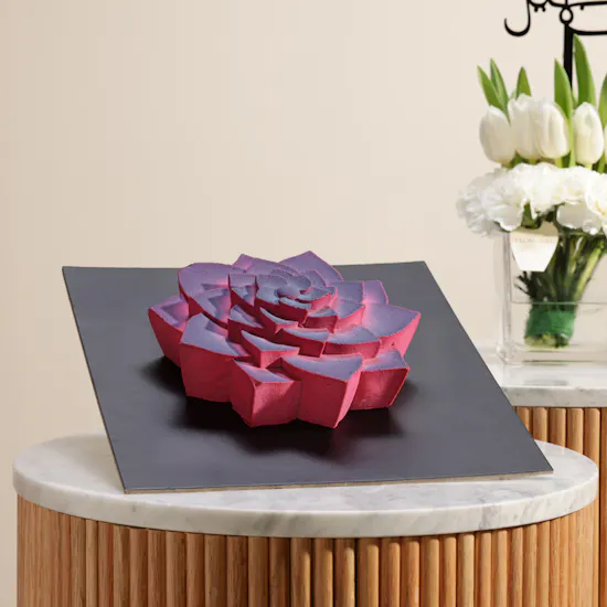 Dinara Kasko Succulent Cake | Birthday White Flower Vase
