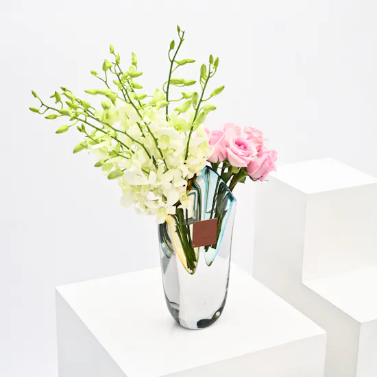 Dream's Vase