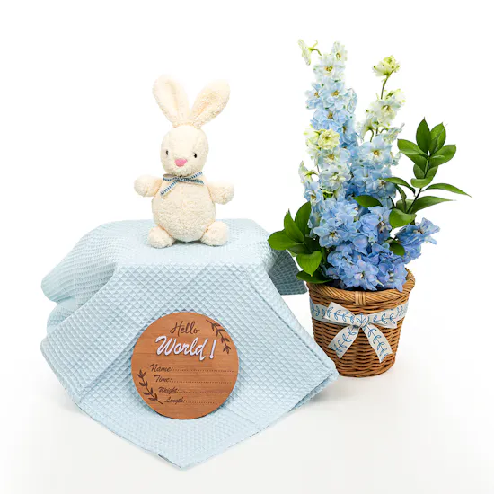 Cozy Bunny Blue Basket | Flowers