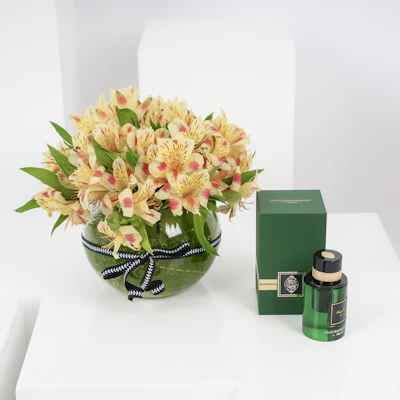 Saad Bashamakh 1\4 Tolah Dehn Mokhalt | Alstroemeria Saad Bashamakh 1\4 Tolah Dehn Mokhalt | Alstroemeria