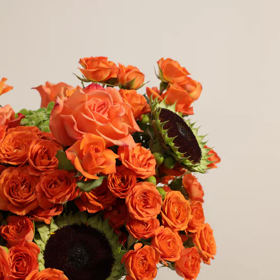 Sunlit Verse Flower Box