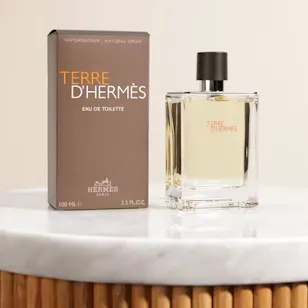 Hermès Terre D'Hermès EDT for Men | 100 ml