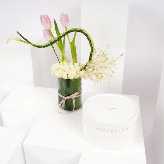 Hanoverian Mix Brand Box | Soft Elegance