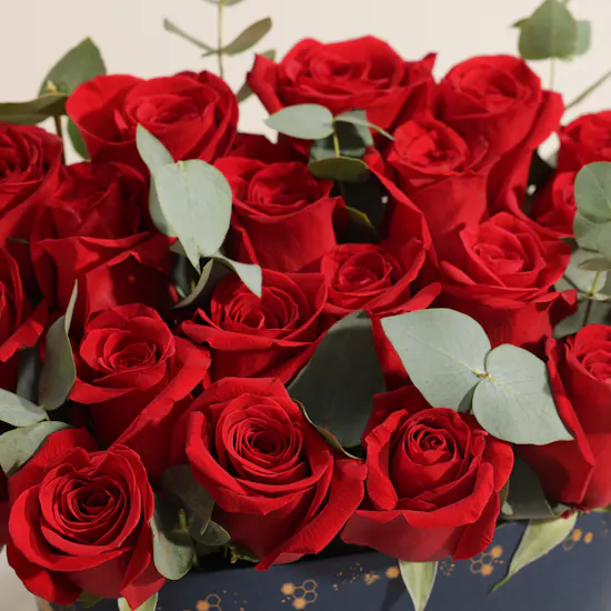 Joyous Red Rose Box