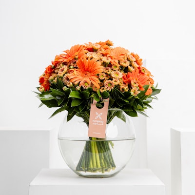 Orange Vase