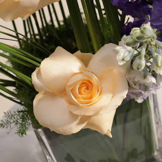 Love Whispers Vase