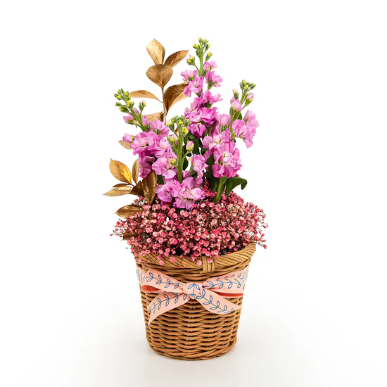 Cozy Bunny Pink Giftset | Flowers