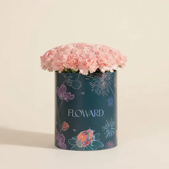 Gentle Pink Carnation Box | 35 Flowers