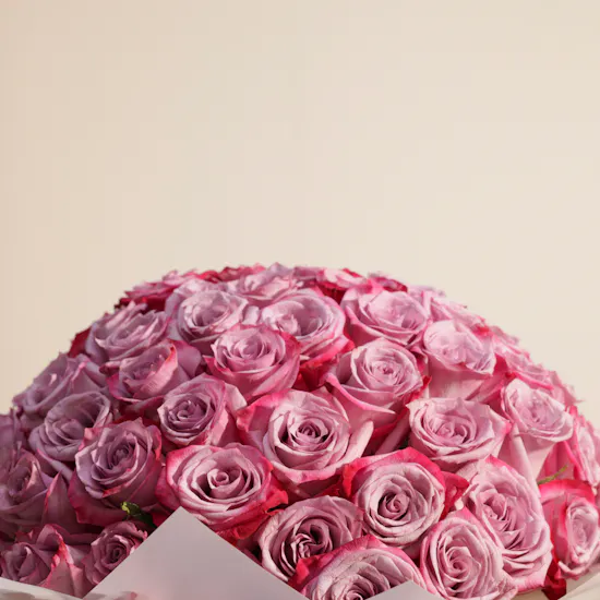 Magical Purple | 100 Rose Bouquet