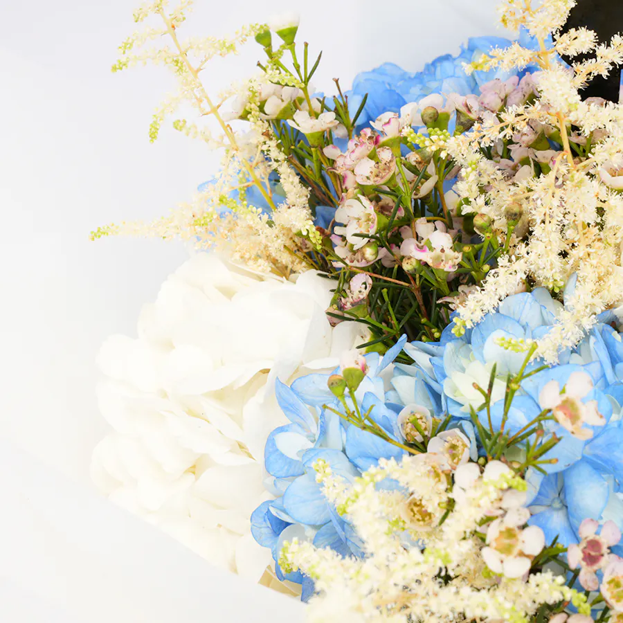 Hydrangea Bouquet | White Wrap 6