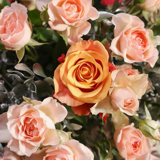 Cheerful Birthday Blooms
