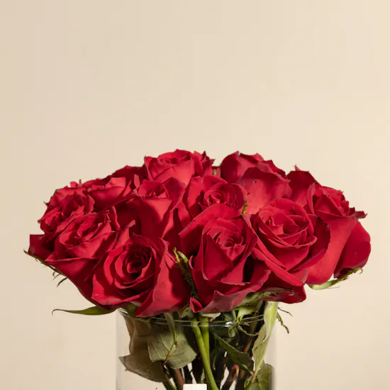 Red Roses Vase | 25 Rose
