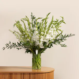 White Gladiolus | Glass Vase
