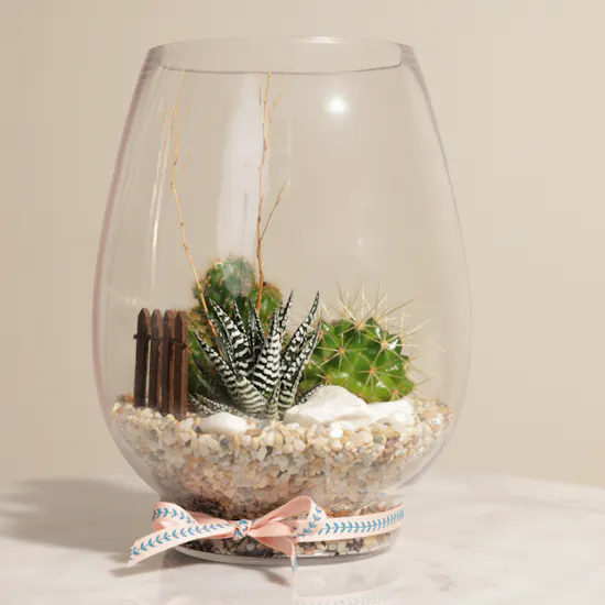 Charming Little Desert | Open Terrarium