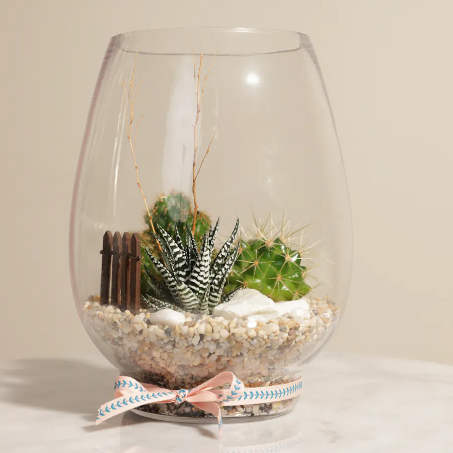 Charming Little Desert | Open Terrarium  6