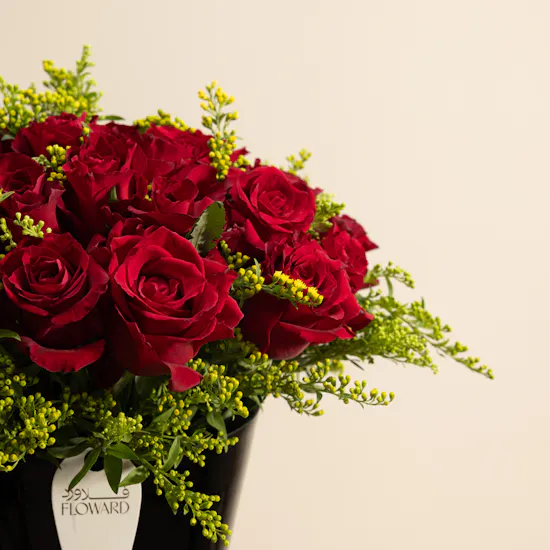 Scarlet Mirage Rose Vase