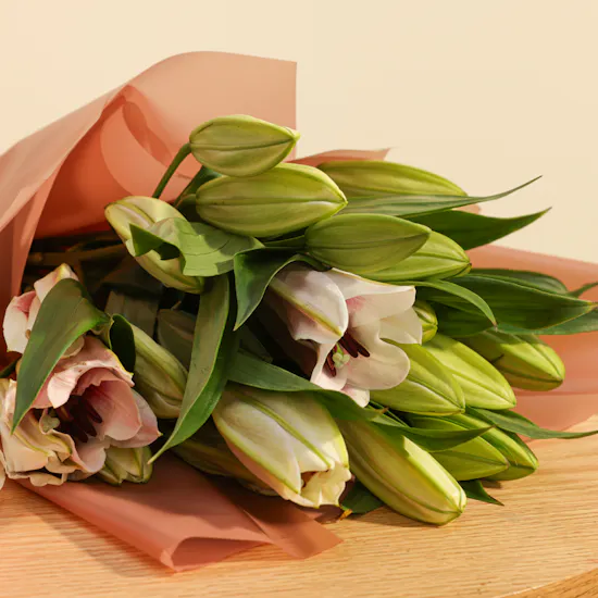 Tous Elegant Necklace | Endless Pink Lily Bouquet