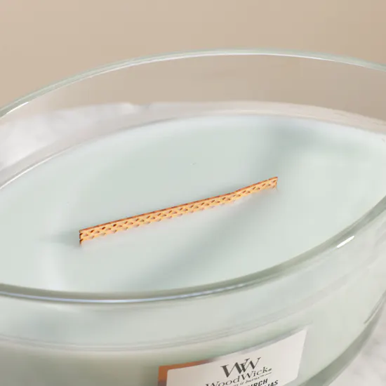Woodwick Ellipse Magnolia Birch Candle