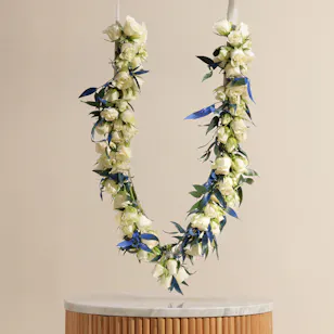 Cheerful Baby Rose White Hoop Cheerful Baby Rose White Hoop