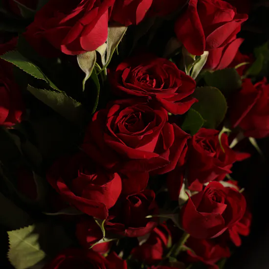 Midnight Passion Baby Rose Bouquet | 15 Flowers