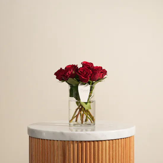 Scarlet Symphony Rose Vase | 10 Flowers