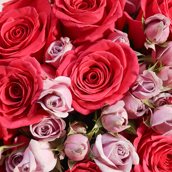 Radiant Dreams Flower Bouquet