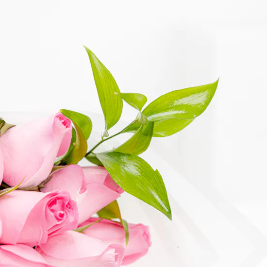 Pink Paradise | Roses Bouquet