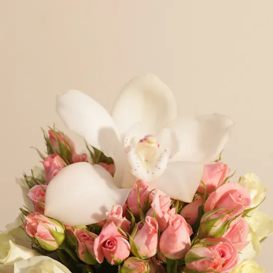 Tous Elegant Necklace | Royal Vase