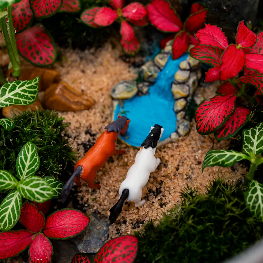 Little Green Forest | Closed Terrarium  3
