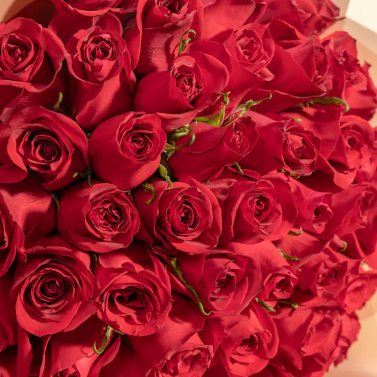 Crimson Red Roses Bouquet