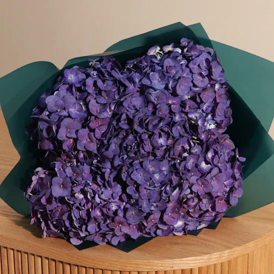 Hydrangea Whisper Bouquet