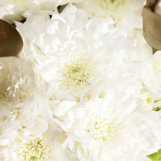 Dream Garden Flower Bouquet