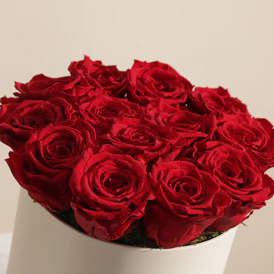 Romantic Preserved Red Rose Box