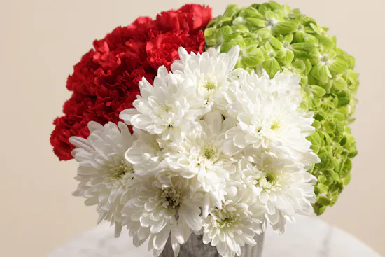 مزهرية زهور الفخر والفرح