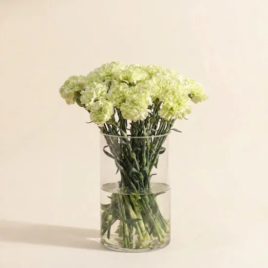 Cheerful Green Carnation Vase