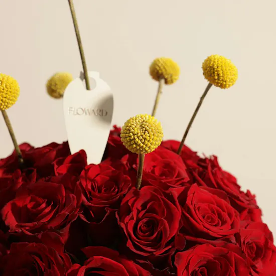 Crimson Luxe Red Rose Vase