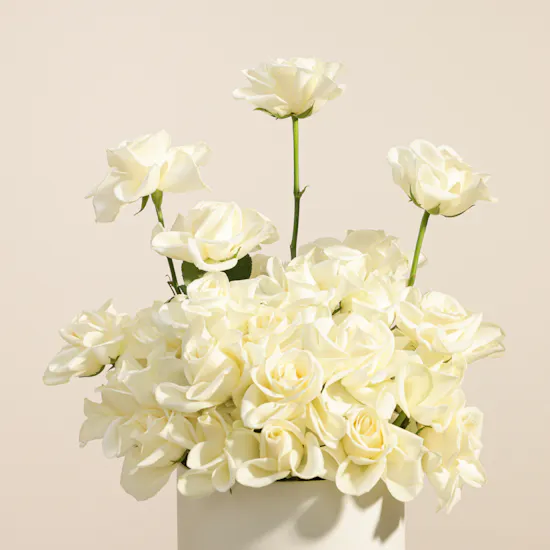 Almosafer Gift Card | Blissful Flowers Box