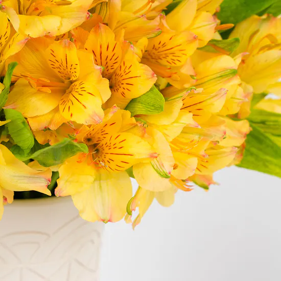 Yellow Flowers Keramos Studio Hassawi Jass