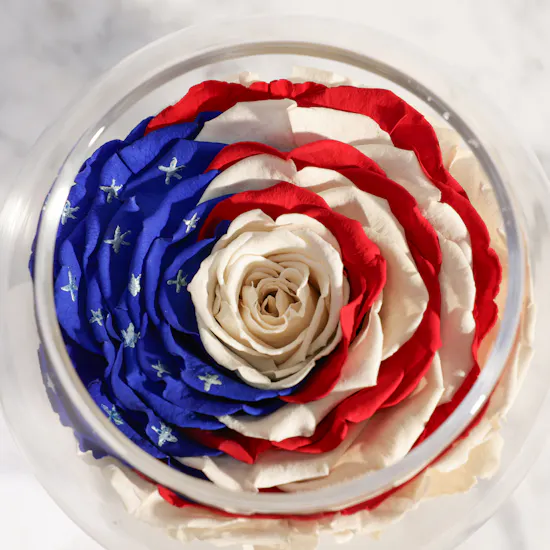 Love and Vitality Preserved Rose Vase