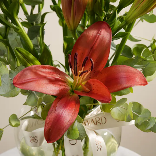 Classic Glam Red Lily Vase