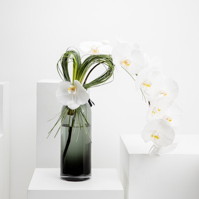 White Orchid Polish Vase