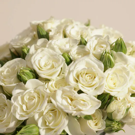 Pure White Baby Roses Vase | 18 Flowers
